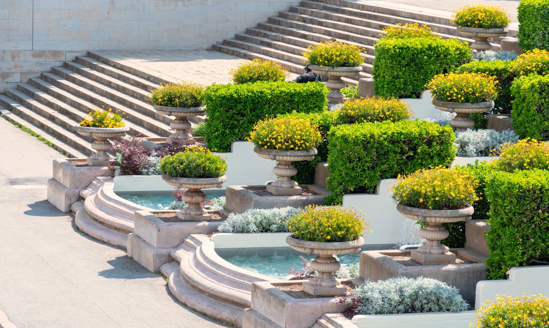 A productive garden with raised beds